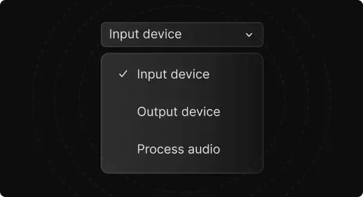 Audio capture interface