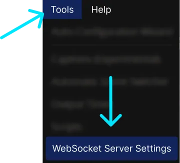 OBS Tools menu with WebSocket Server Settings highlighted