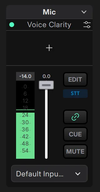 STT badge on the designated audio track