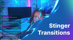 Stinger Transitions Have Arrived in Meld Studio v0.10.3.1
