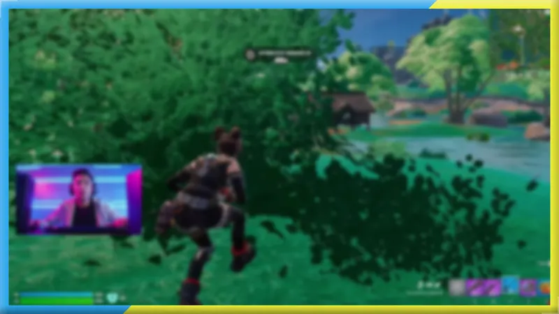 Fortnite Gameplay Border