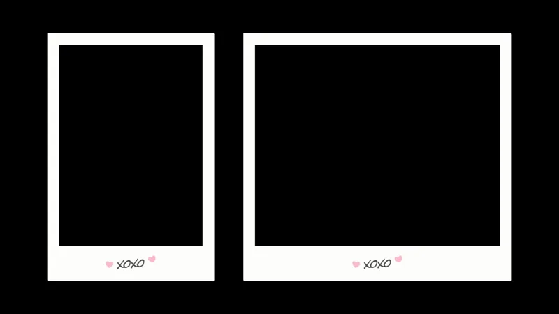 Polaroid Cam Border